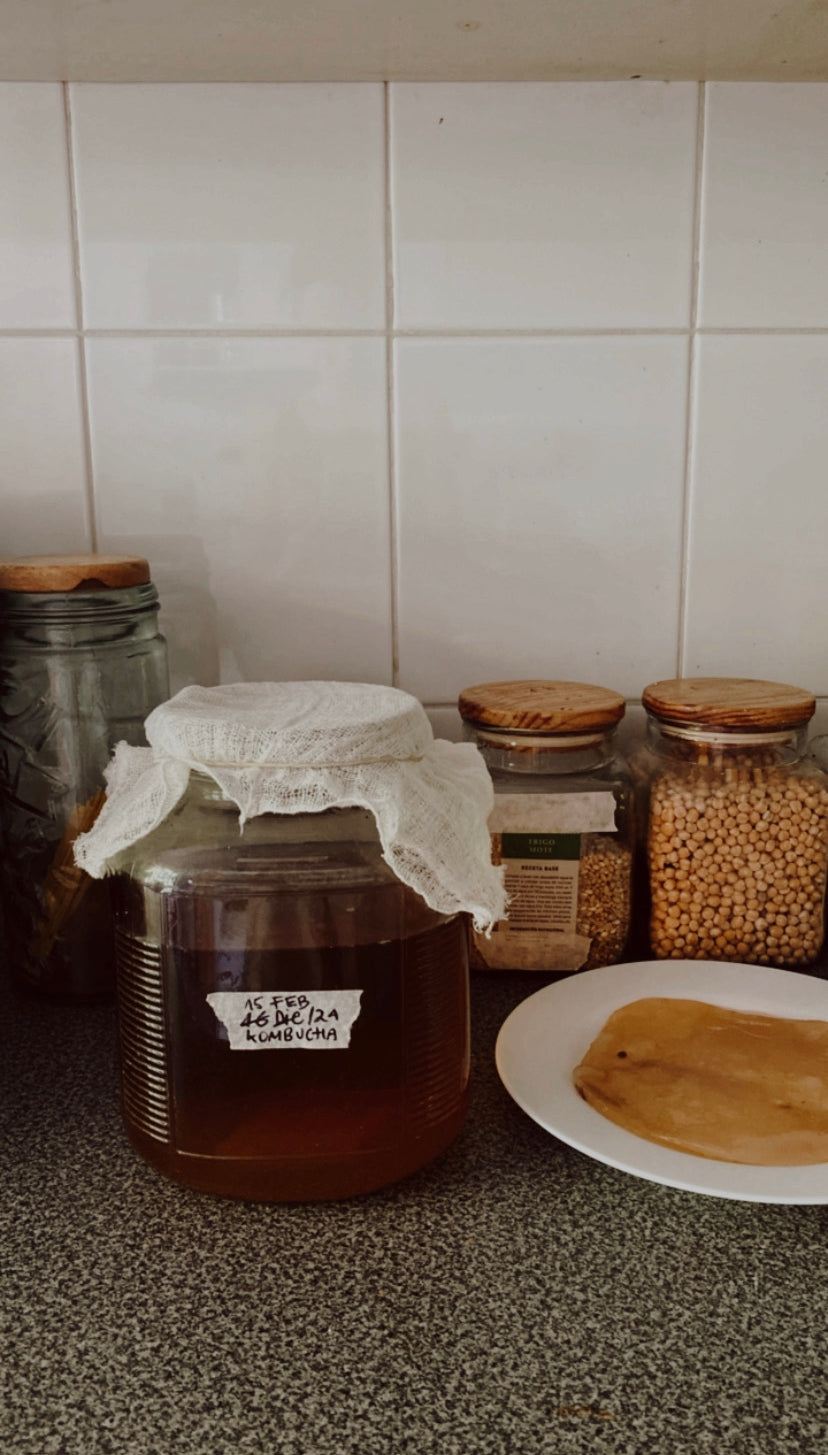 Bebidas fermentadas: Kombucha (Online grabado)