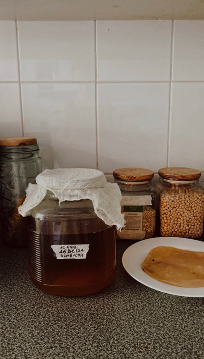 Bebidas fermentadas: Kombucha (Online grabado)