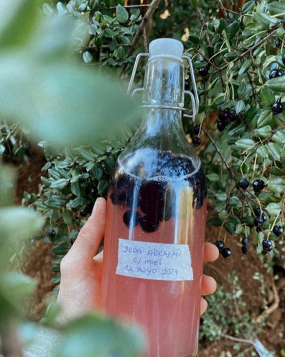Bebidas fermentadas: Sodas (Online grabado)