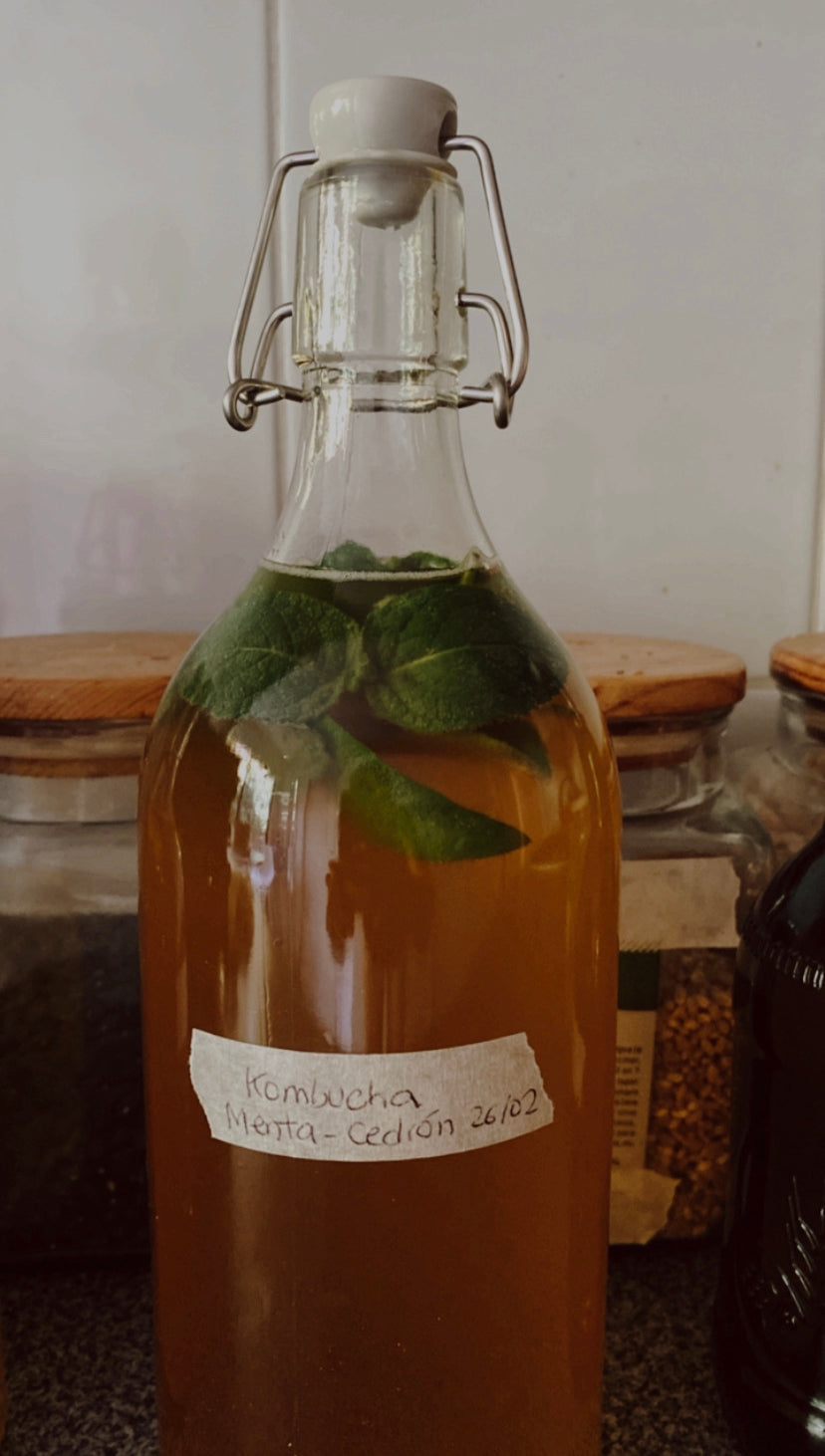 Bebidas fermentadas: Kombucha (Online grabado)