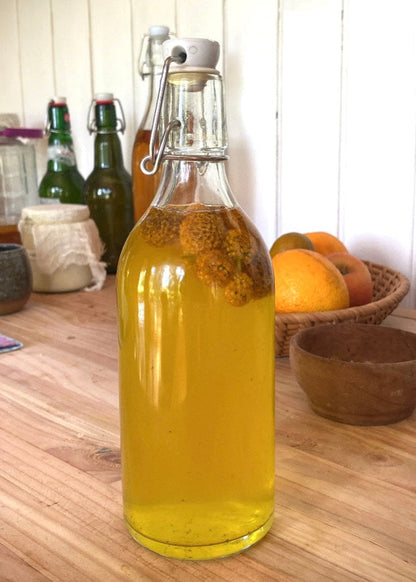 Bebidas fermentadas: Sodas (Online grabado)