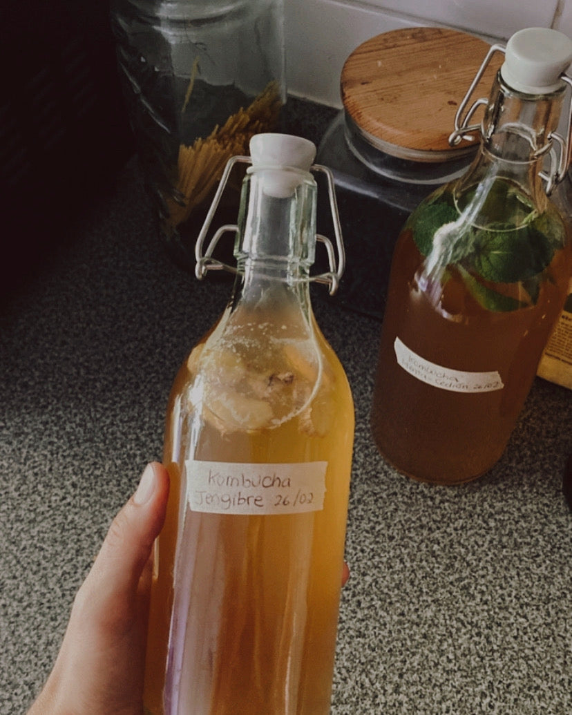 Bebidas fermentadas: Kombucha (Online grabado)