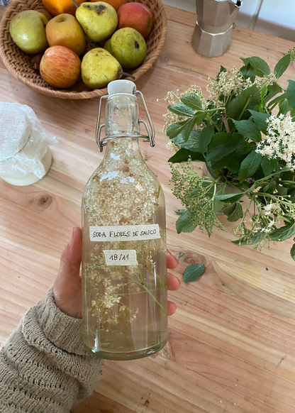 Bebidas fermentadas: Sodas (Online grabado)