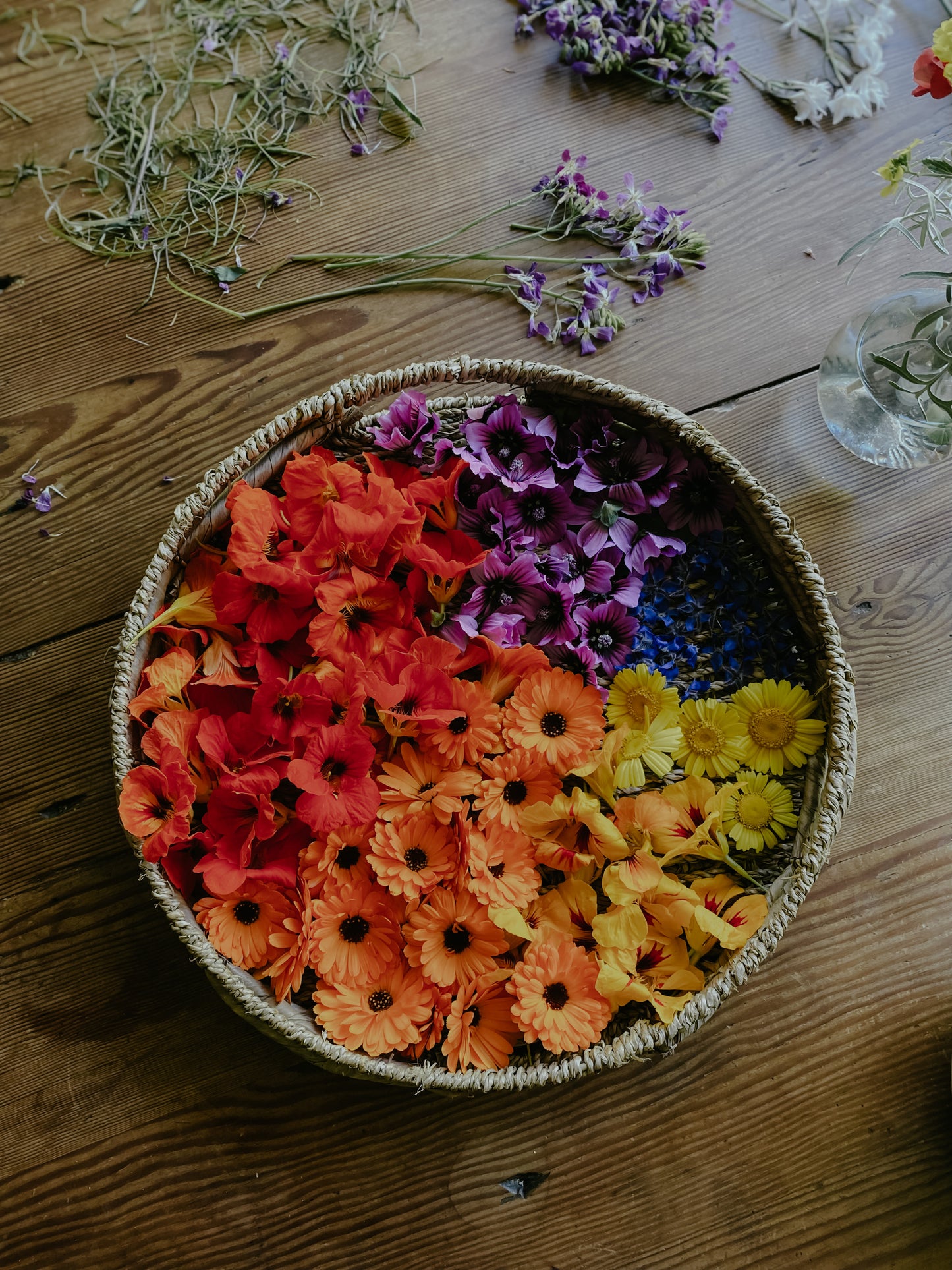"Malezas" Comestibles y Medicinales (Online grabado)