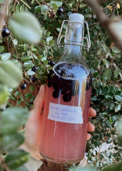 Ebook Sodas Naturales + Curso grabado de 2 hrs.