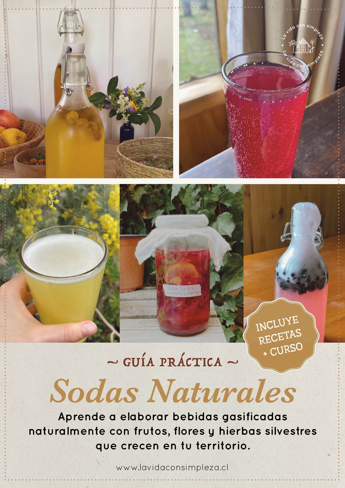 Ebook Sodas Naturales + Curso grabado de 2 hrs.