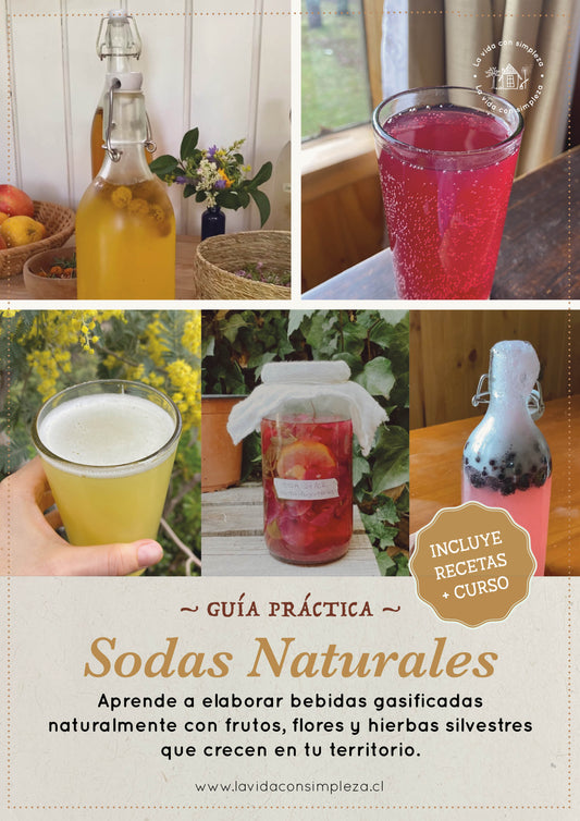 Ebook Sodas Naturales + Curso grabado de 2 hrs.