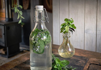 Bebidas fermentadas: Sodas (Online grabado)
