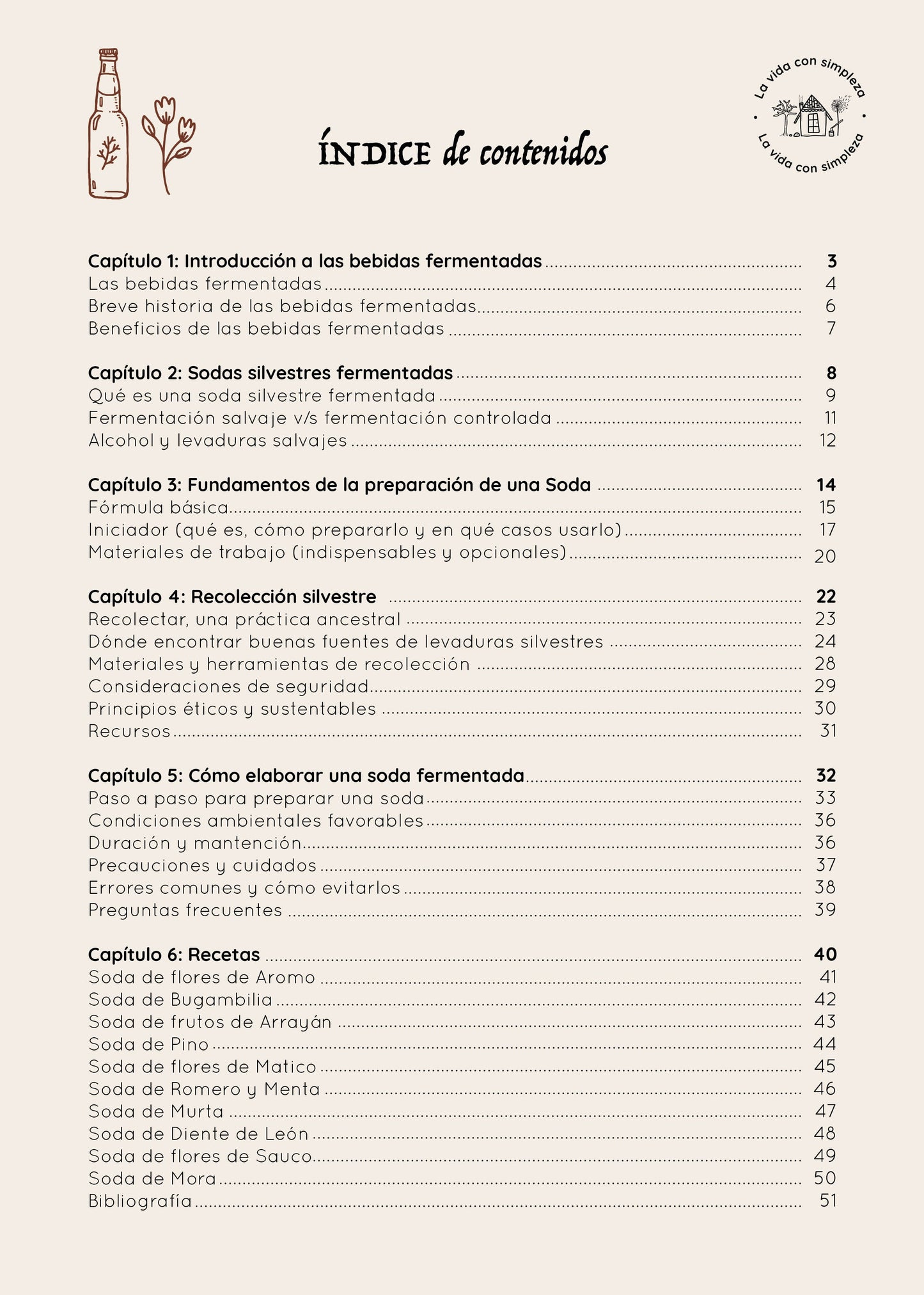 Ebook Sodas Naturales + Curso grabado de 2 hrs.