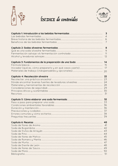 Ebook Sodas Naturales + Curso grabado de 2 hrs.
