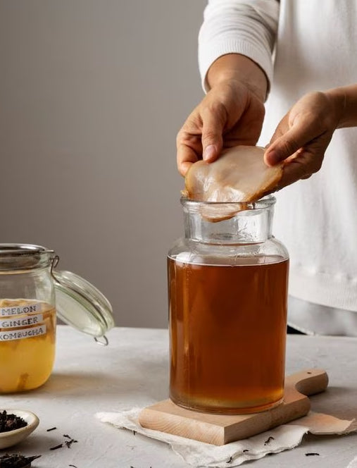 Bebidas fermentadas: Kombucha (Online grabado)