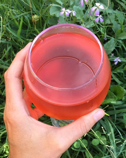 Bebidas fermentadas: Kombucha (Online grabado)