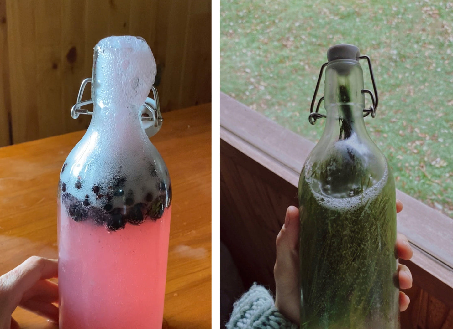 Bebidas fermentadas: Sodas (Online grabado)